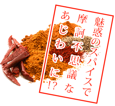 魅惑のスパイスで摩訶不思議なあじわいに!?